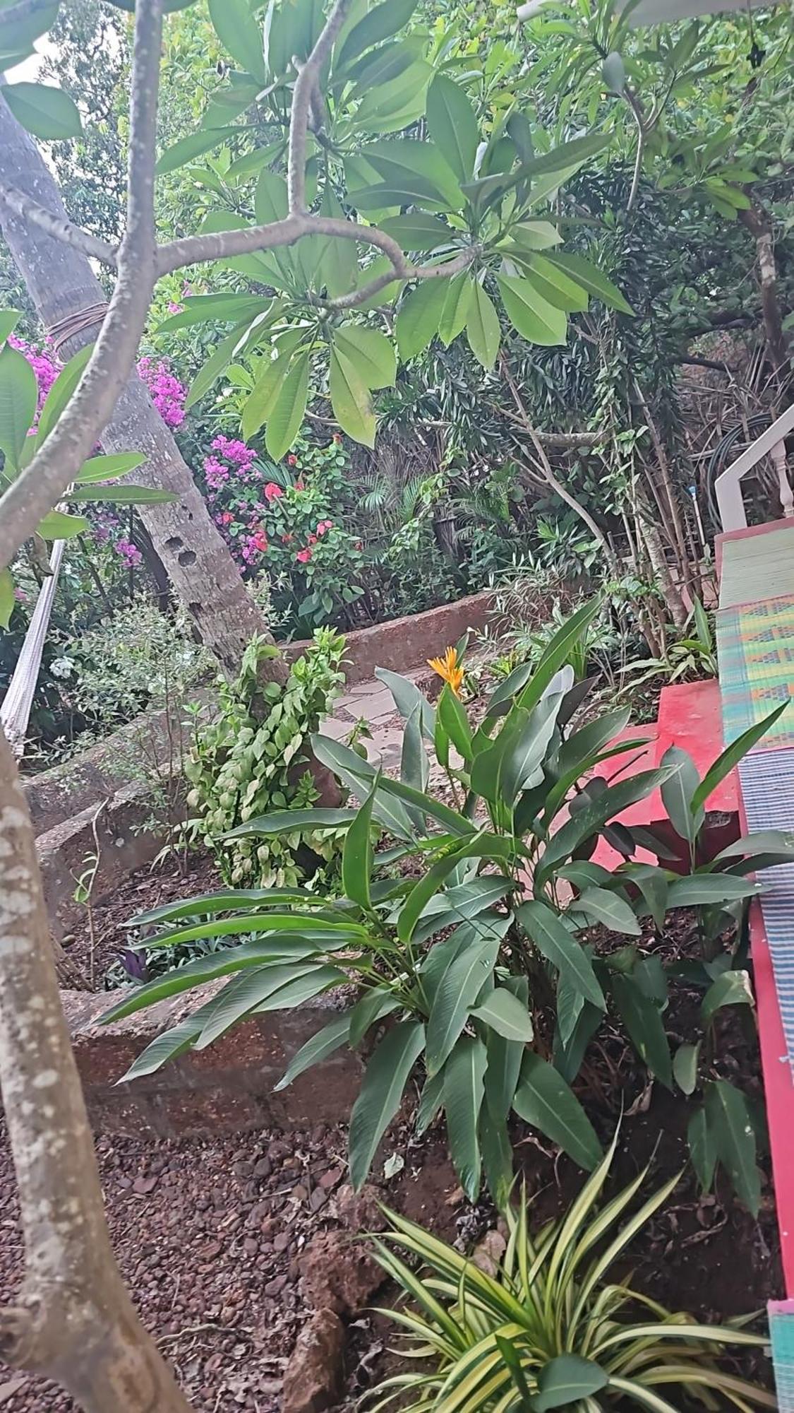 Laxmi Happy Home In Querim Goa מראה חיצוני תמונה