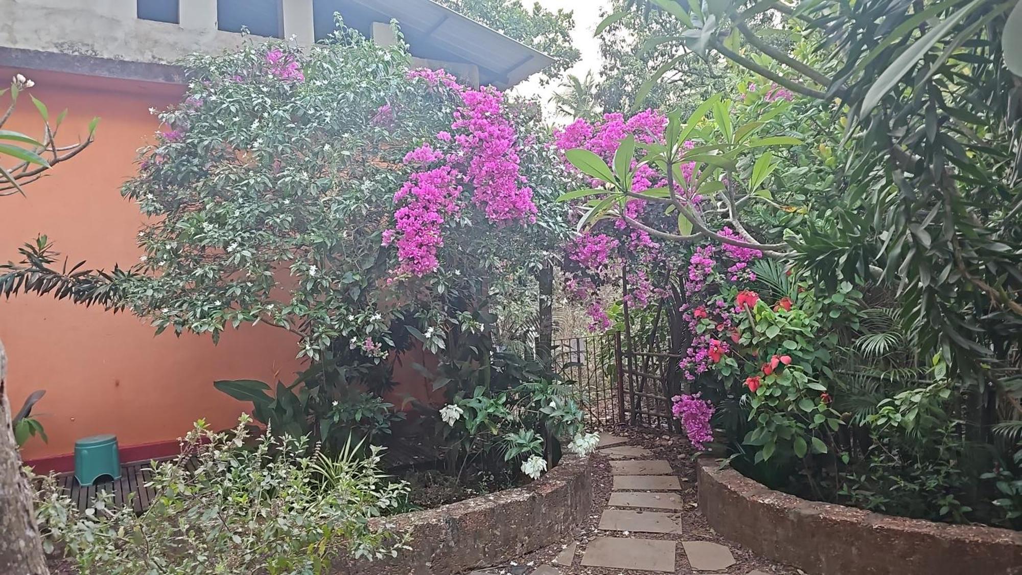 Laxmi Happy Home In Querim Goa מראה חיצוני תמונה