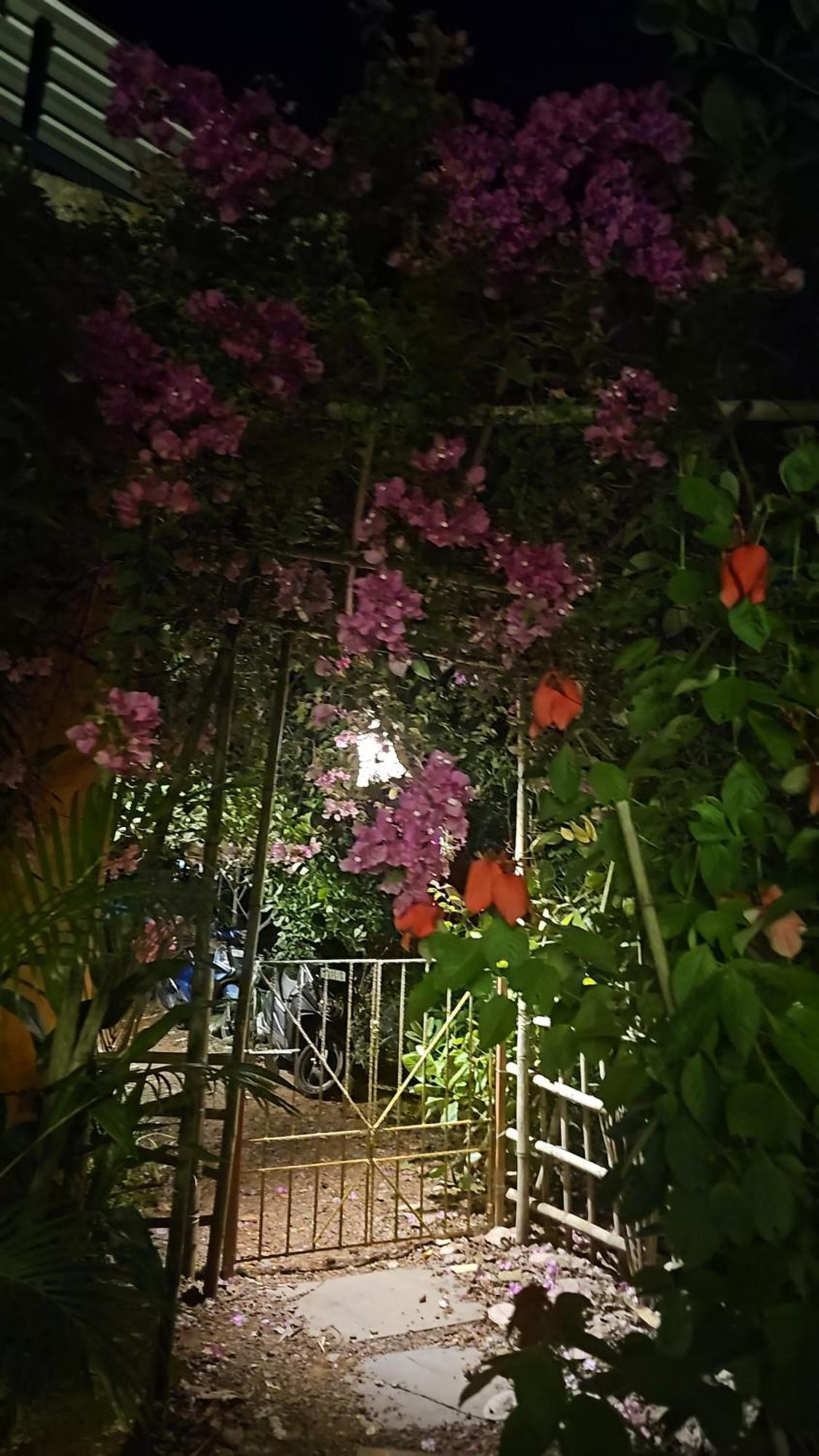 Laxmi Happy Home In Querim Goa מראה חיצוני תמונה